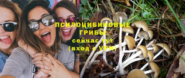 а пвп мука Аркадак