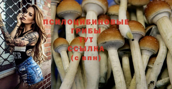 метамфетамин Армянск