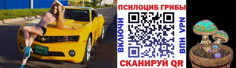 Галлюциногенные грибы MAGIC MUSHROOMS купить закладку Аша